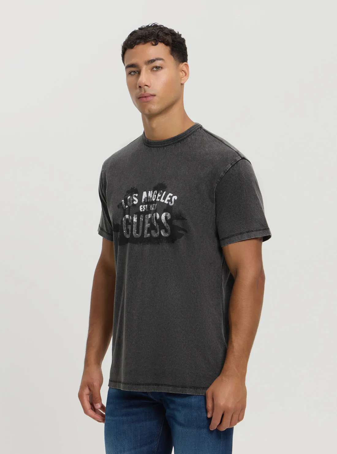 Grey Treated Logo T-Shirt