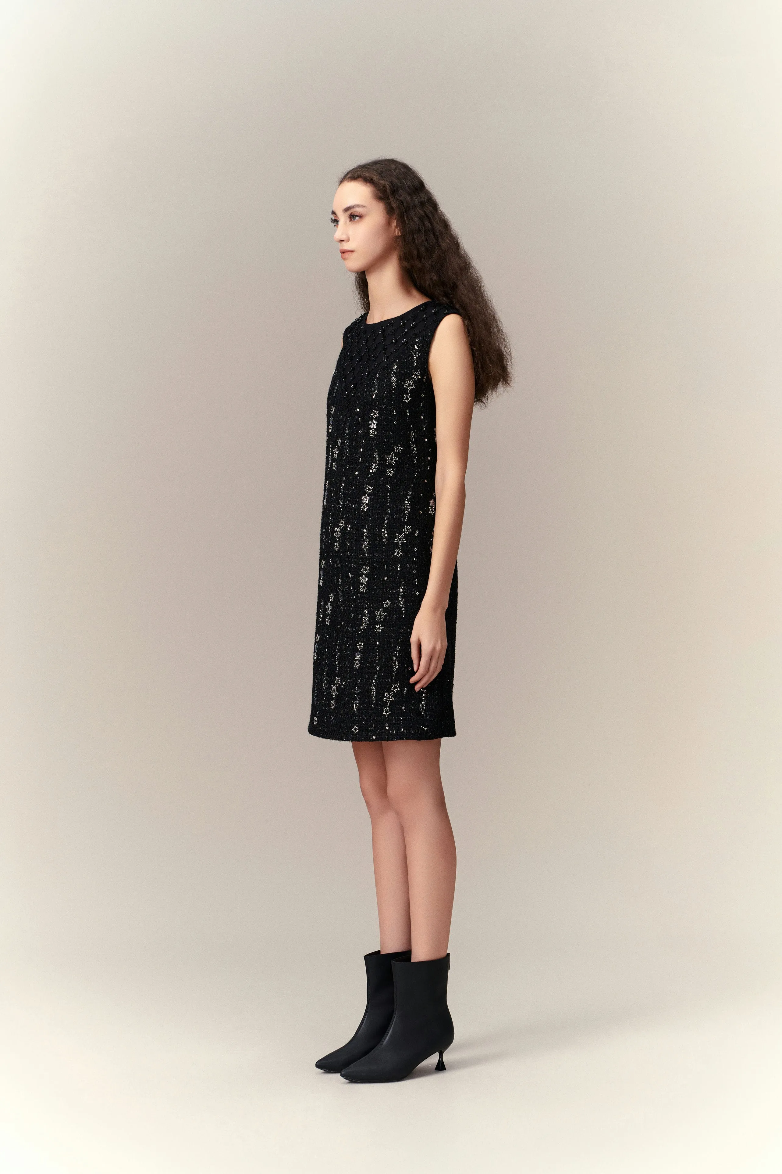 Meteor Shower Embellished Sleeveless Dress